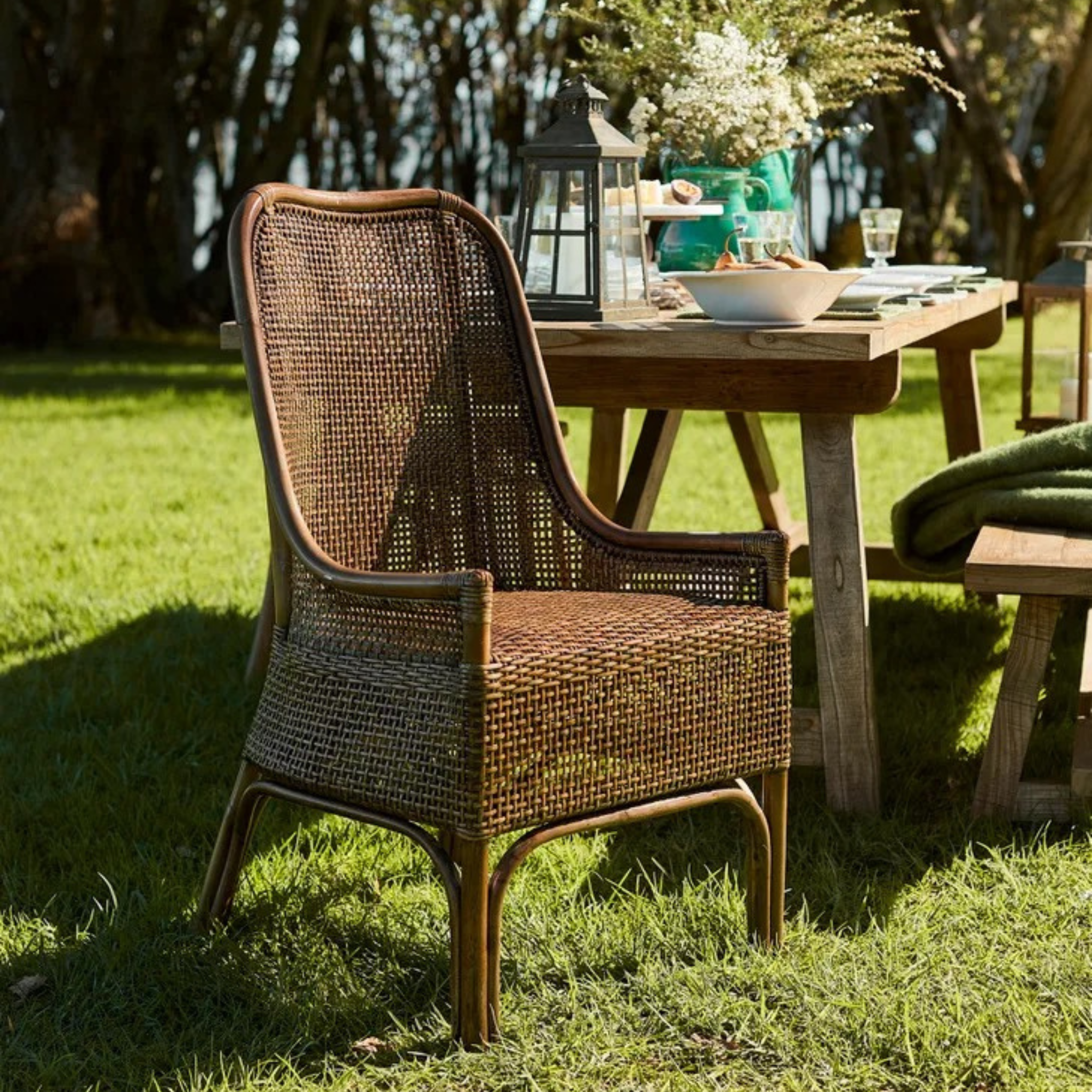Albany Rattan Dining Chair - Brown