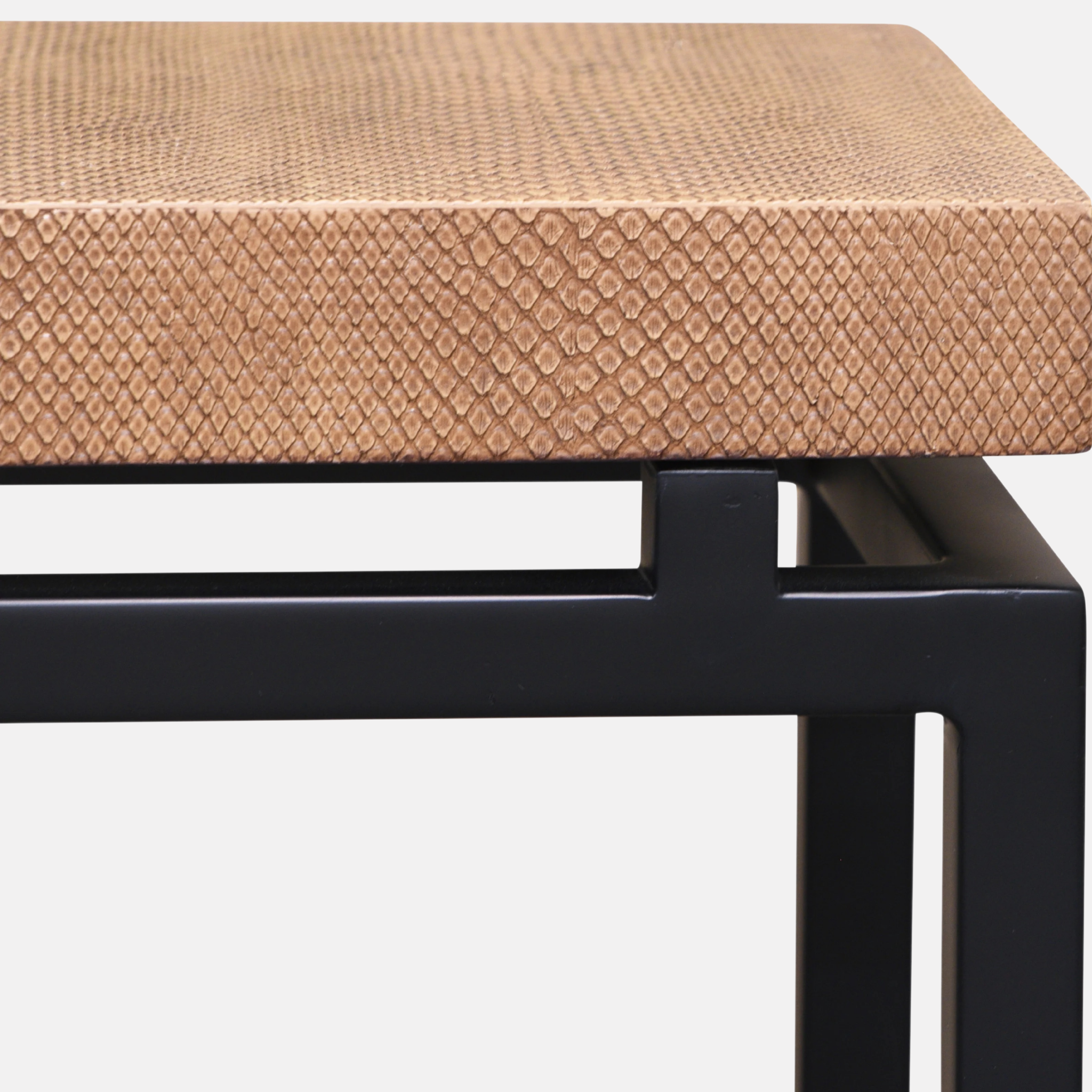 Clarence Narrow Snake Console