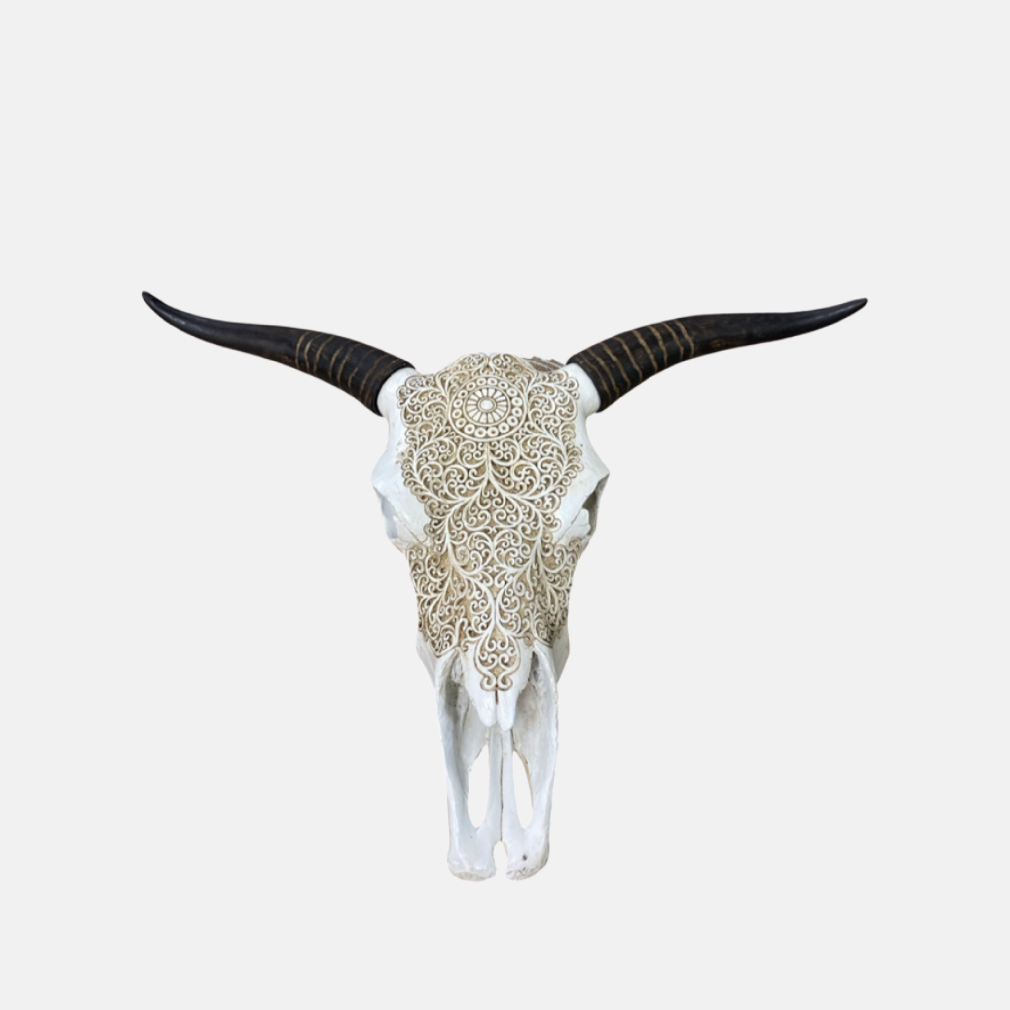 Animal Skull Wall Deco