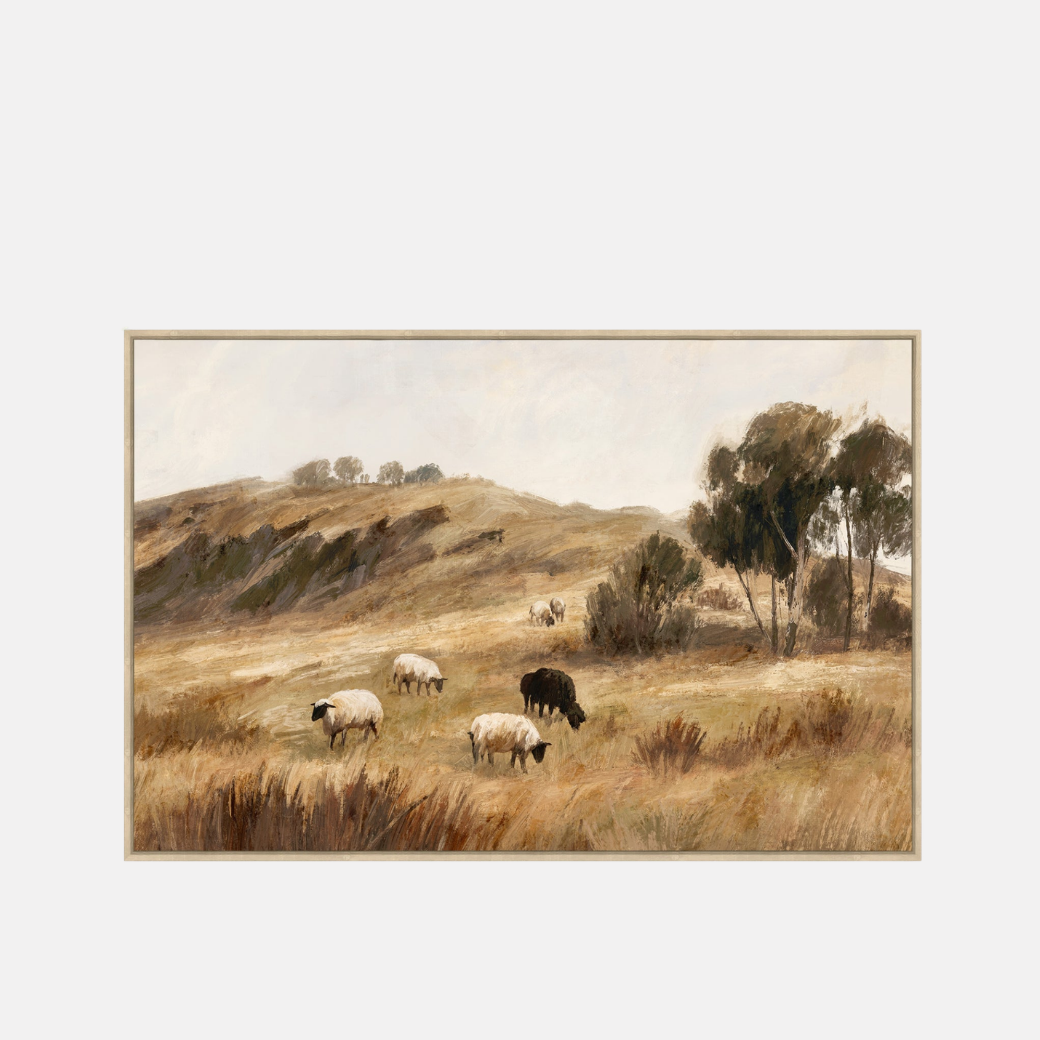 Roam Canvas