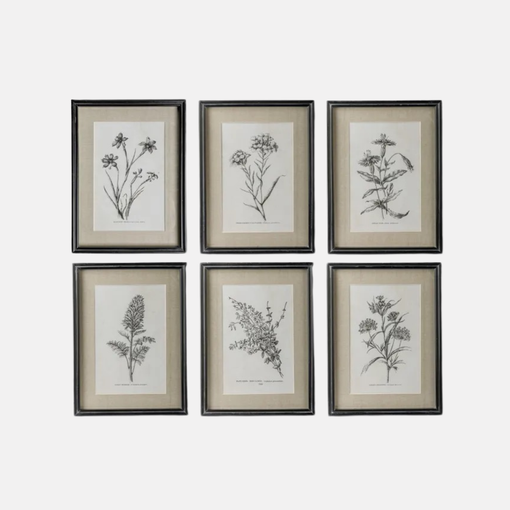 Botanical Wall Art Set of Six