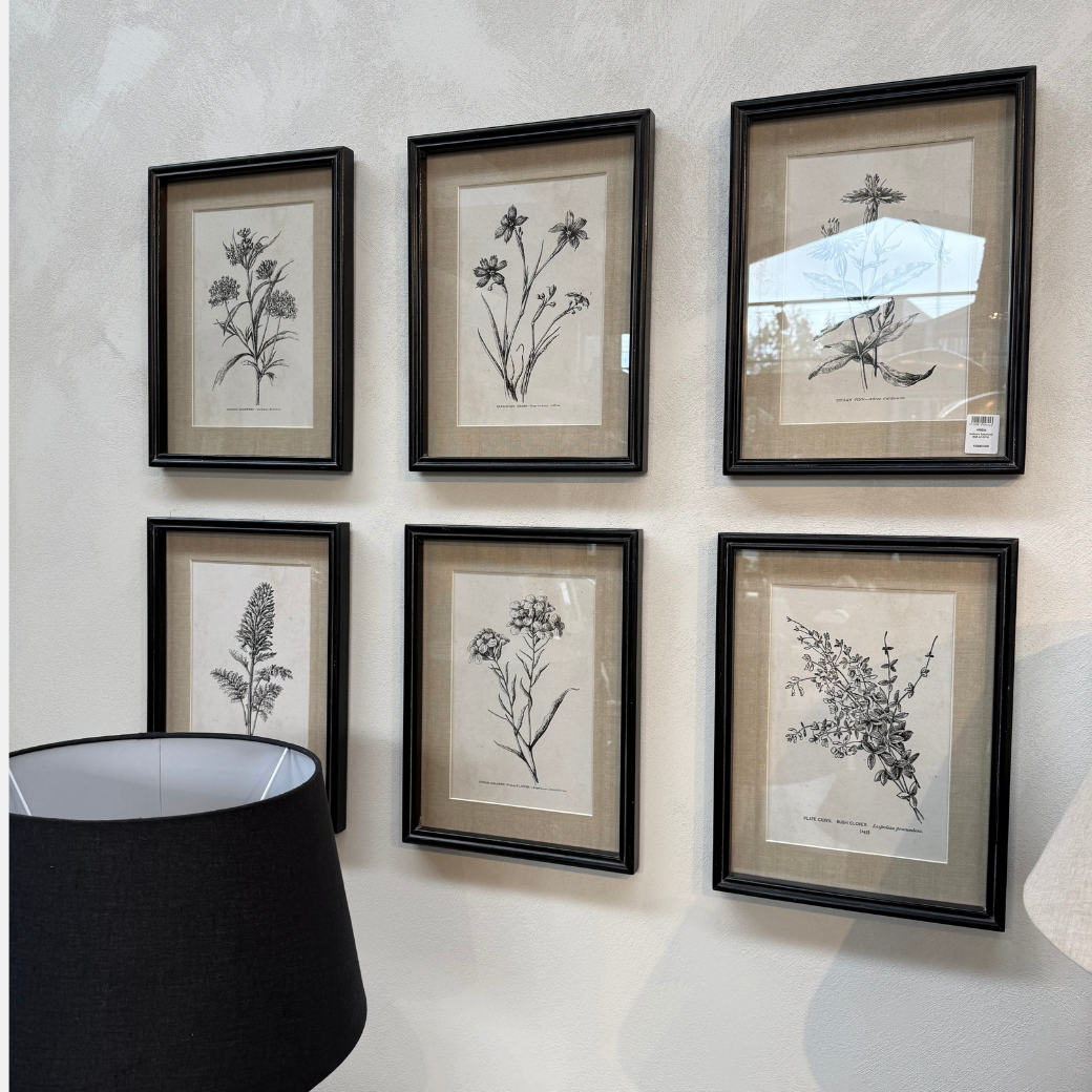 Botanical Wall Art Set of Six