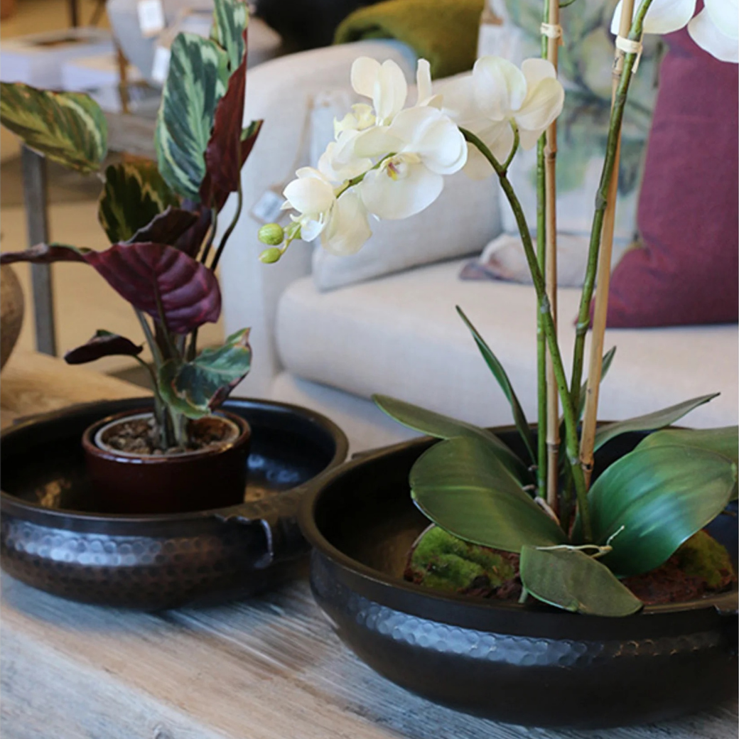 Marbella Bowls Set of Two