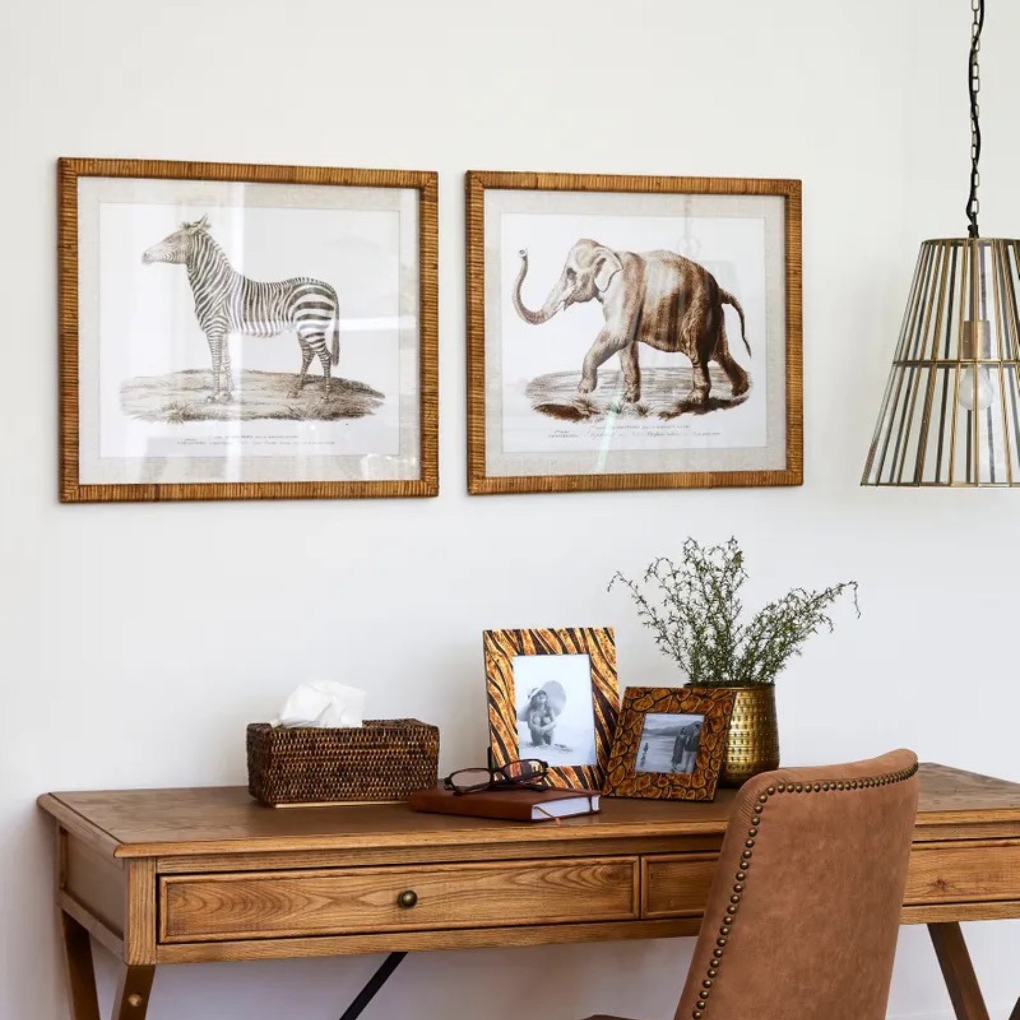 Animal Prints Set of 4