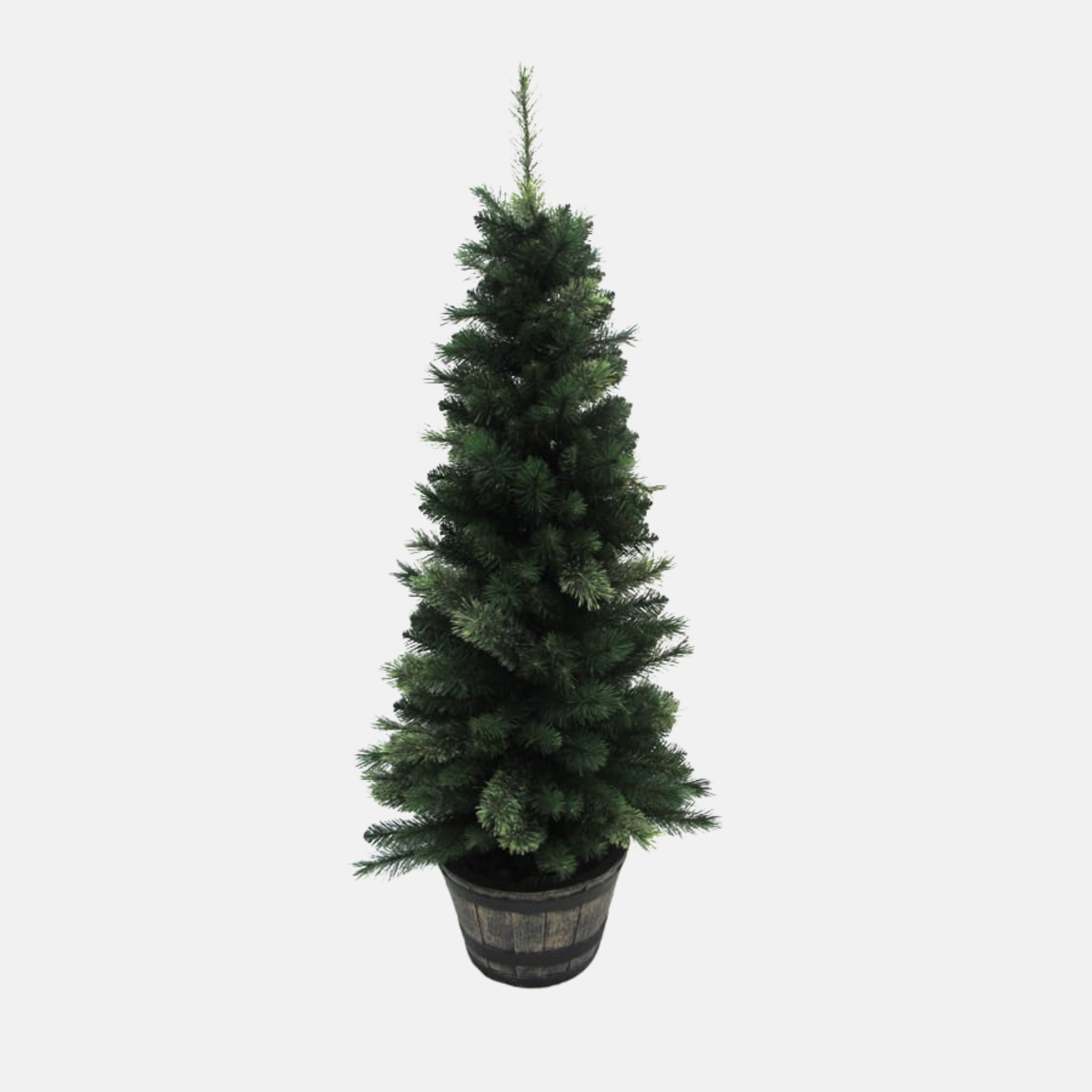 Pine Tree 5 Foot