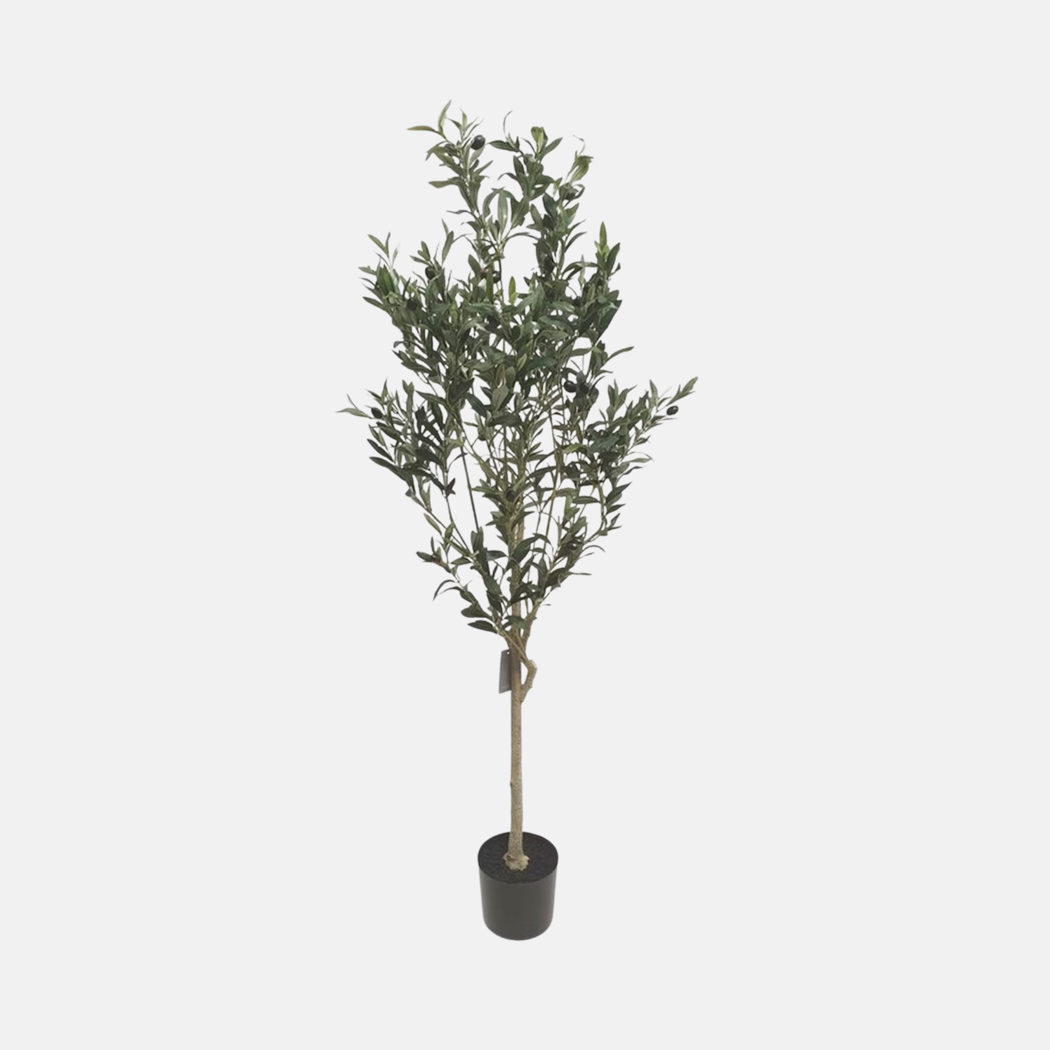 Faux Olive Tree