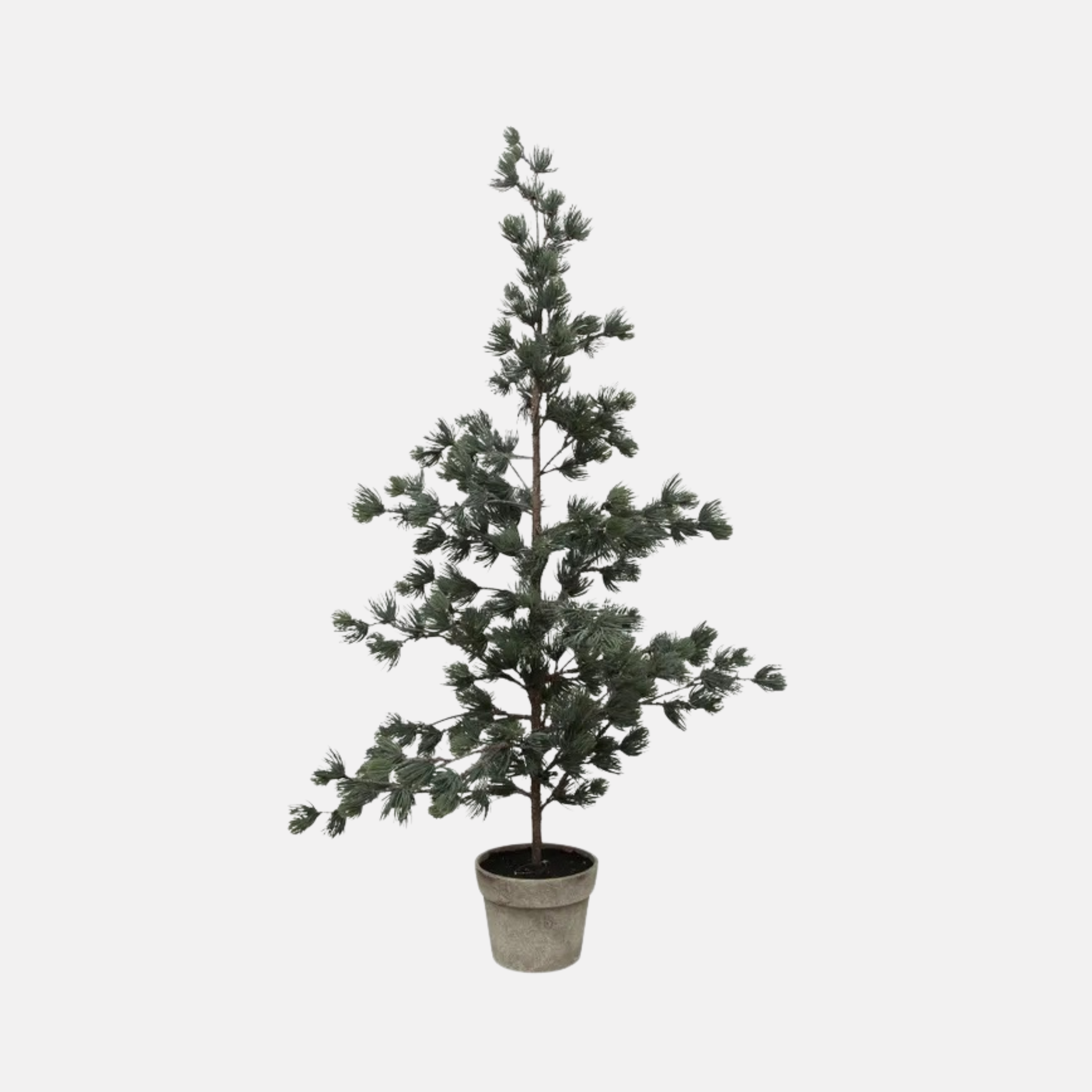 Pine Tree Dusty Large