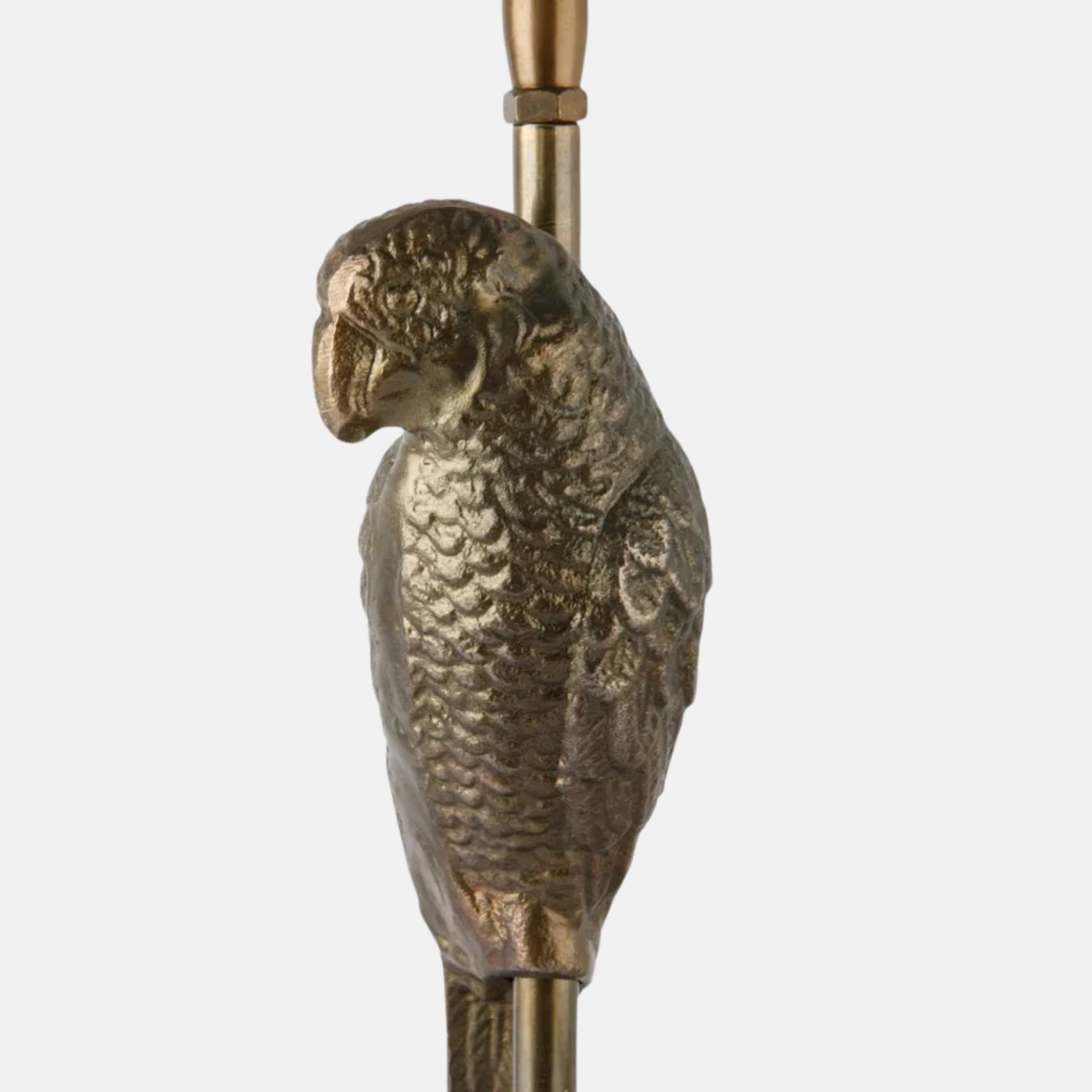 Parrot Lamp - Gold Pair