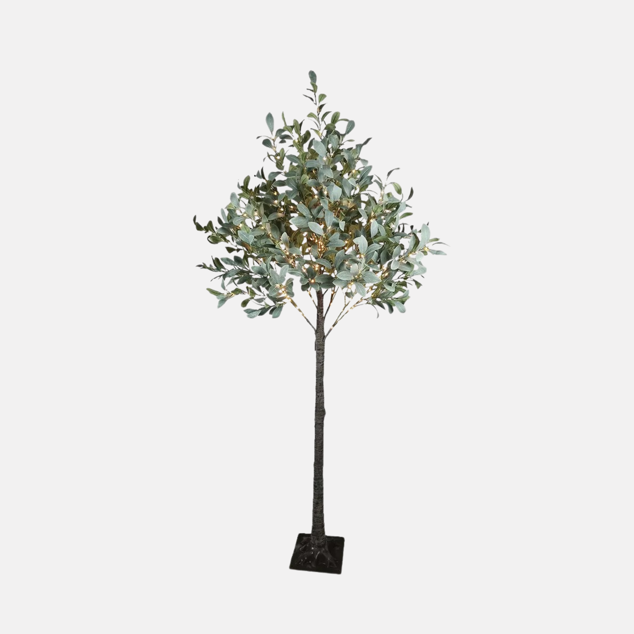 Olive Tree With Lights